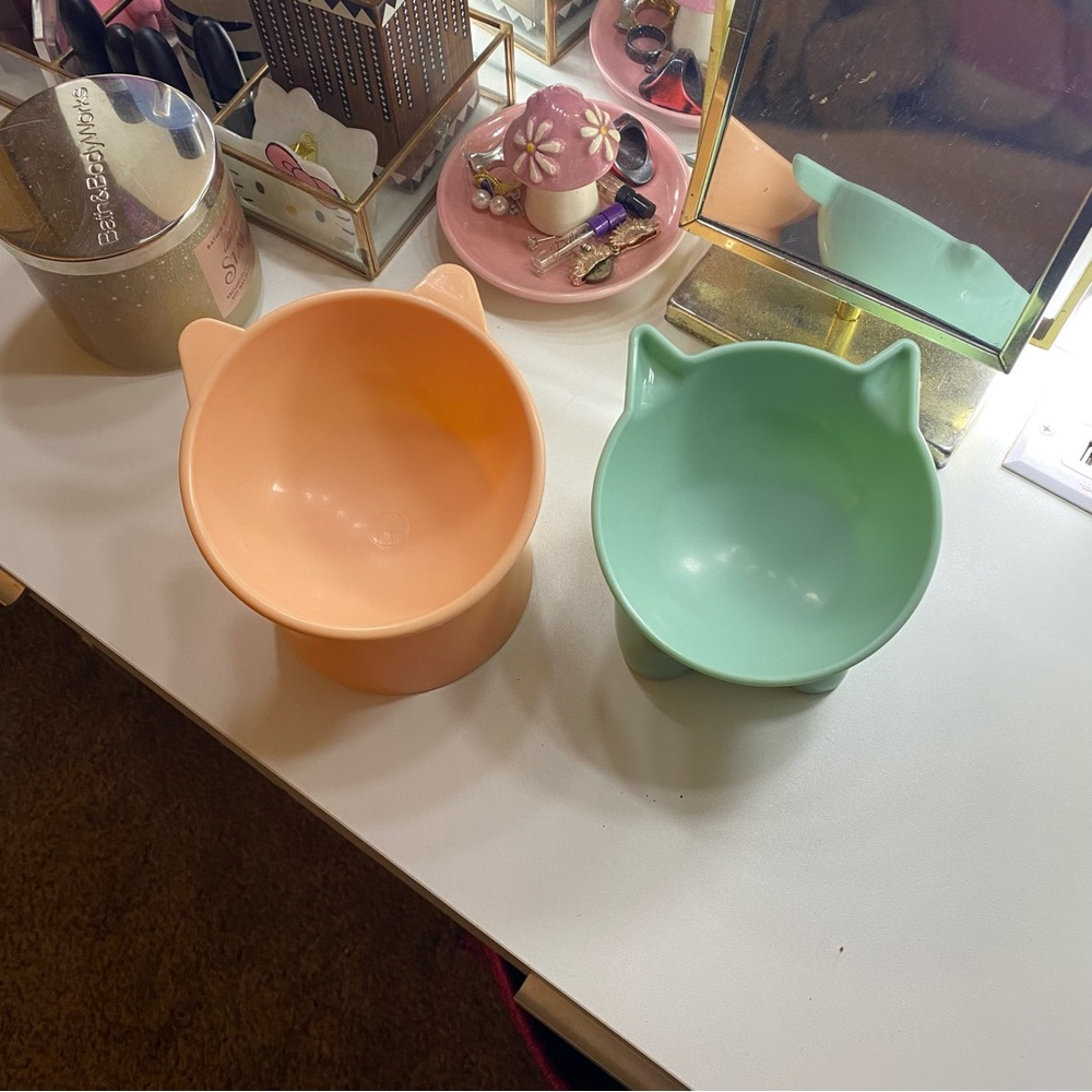 Raised Cat / Kitty Feeding  Bowls - Peach and Mint